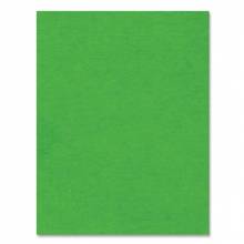 Carton Bristol 22'' x 28'' 4 plis, vert de Kelly