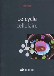 Cycle cellulaire, le