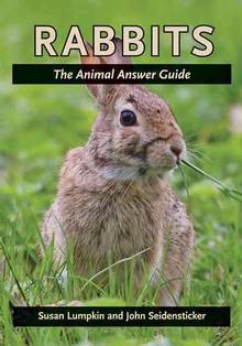 Rabbits : The Animal Answer Guide