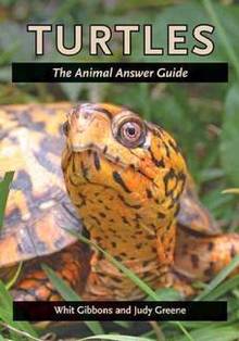 Turtles : The Animal Answer Guide