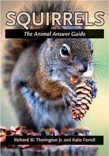 Squirrels : Tne Animal Answer Guide
