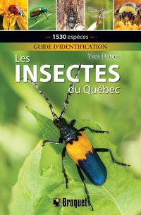 Les insectes du Québec - Guide d'identification