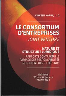 Consortium d'entreprises: Joint Venture : Nature et structure jur