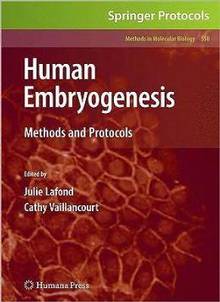 Human Embryogenesis : Methods and Protocols