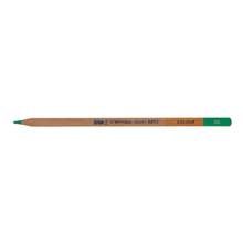 Crayon de couleur en bois Bruynzeel vert #66