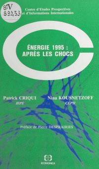 Énergie 1995, après les chocs