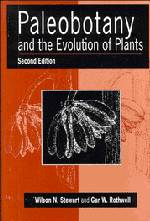 Palwobotany and the evolution of plants