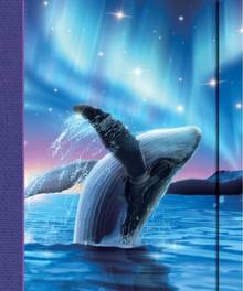 Grand Journal : Baleine Boréal