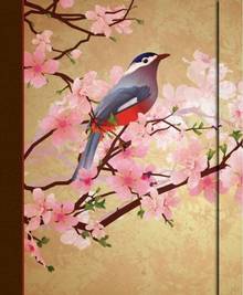 Grand Journal : Oiseau et Sakura