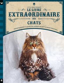 Livre extraordinaire des chats, Le