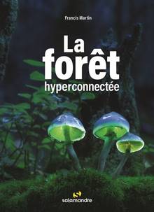 Forêt hyperconnectée, La