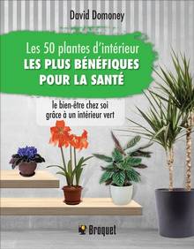 Les 50 plantes d'intérieur les plus bénéfiques pour la santé : le bien-être chez soi grâce à un intérieur vert