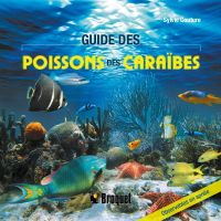 Guide des poissons des Caraïbes