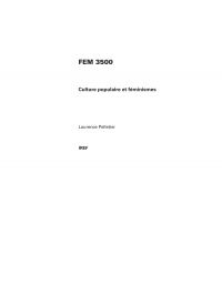 FEM 3500, Culture populaire et féminismes