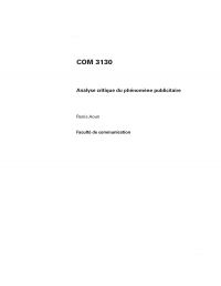 COM 3130, Analyse critique du phénomène publicitaire
