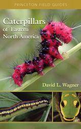 Caterpillars of Eastern North America: a guide to