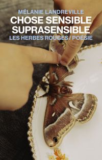 Chose sensible suprasensible
