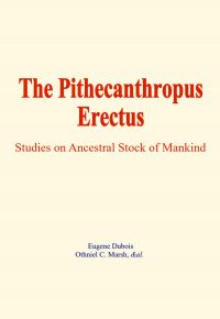 The Pithecanthropus Erectus