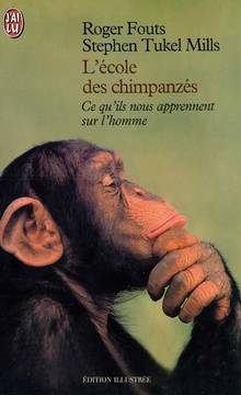 Ecole des chimpanzes # 5596