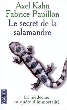 Secret de la salamandre, Le