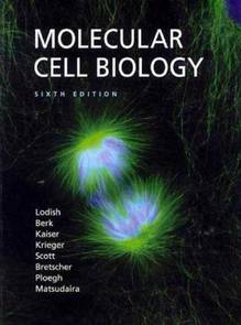 Molecular Cell Biology : 6th ed.