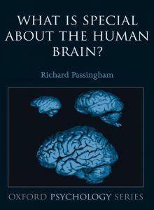 What is Special about the Human Brain ?