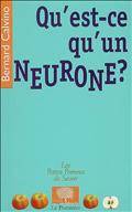 Qu'est-ce qu'un neurone ?