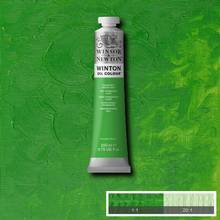 Peinture à l'huile Winton Winsor & Newton 200ml Vert clair permanent PB15:3 PW6 PY74