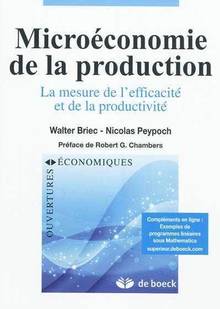 Microéconomie de production : la mesure de l'efficacité et de la