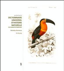Planches du Dictionnaire universel d'histoire naturelle de Charle
