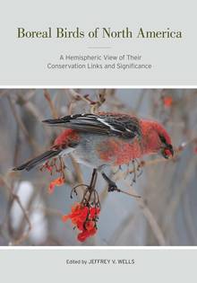 Boreal Birds of North America : A Hemispheric View of Their Conse