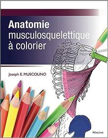 Anatomie musculosquelettique  à colorier