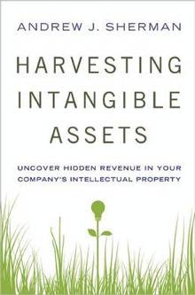Harvesting Intangible Assets : Uncover Hidden Revenue in Your Com