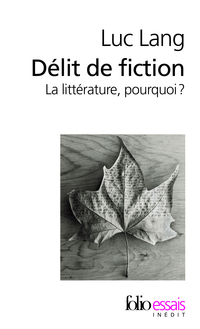 Délit de fiction : La littérature, pourquoi ?