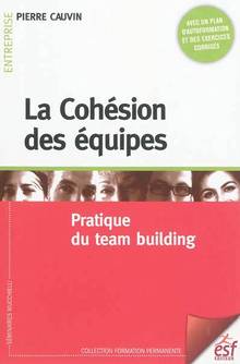 Cohésion des équipes : Pratique du team building : 7e éd