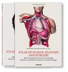 Atlas d'anatomie humaine et de chirurgie