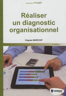 Réaliser un diagnostic organisationnel : 4e édition