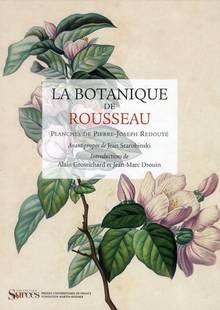 Botanique de Rousseau : Planche de Pierre-Joseph Redouté