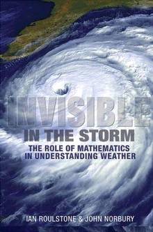 Invisible in the storm : The  role of mathematics in understandin