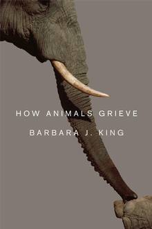 How animals grieve