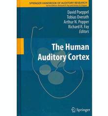 Human Auditory Cortex, The