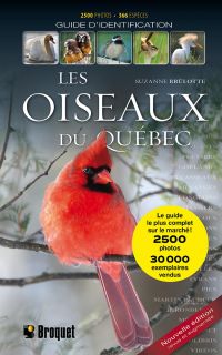 Oiseaux du Québec : Guide d'identification