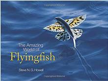 The amazing world of Flyingfish