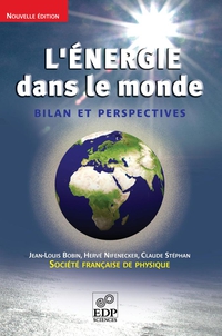 Énergie dans le monde : bilan et perspectives, L'
