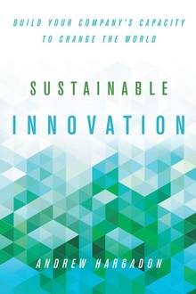 Sustainable Innovation : Build Your Company's Capacity to Change the World