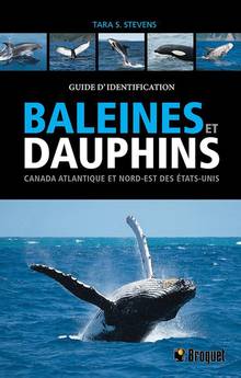 Baleines et dauphins : Canada atlantique et Nord-Est des États-Unis