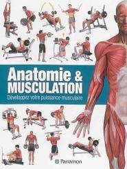 Anatomie & musculation : développez votre puissance musculaire
