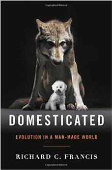 Domesticated: Evolution in A MAN-Made World