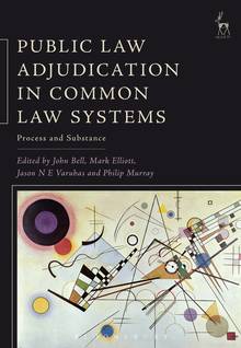 Public Law Adjudication in Common Law sytems : Process and Substance