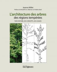 L'architecture des arbres des régions tempérées